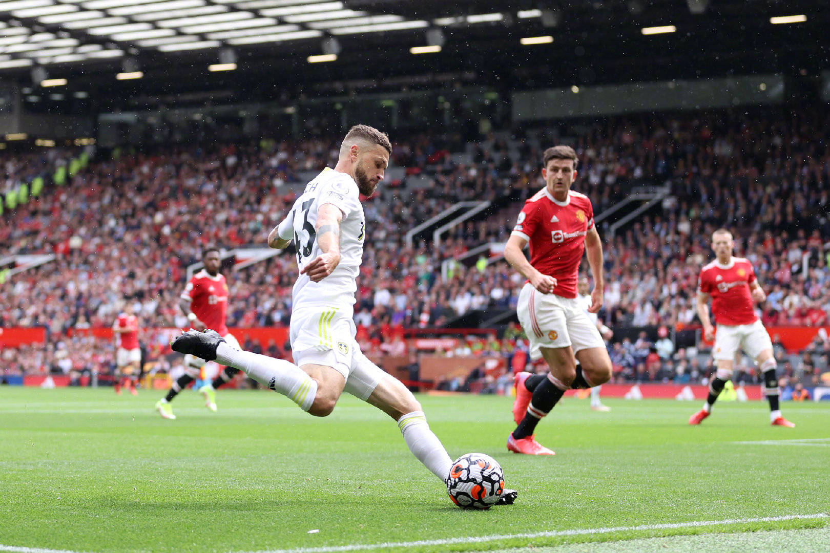 杰维奇所要 杰维奇所要