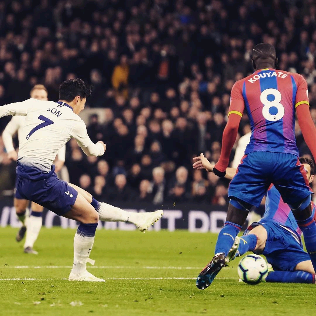 的最大特点 的最大特点